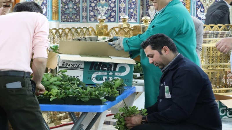 شاهد بالصور تحضيرات مستمرة لأحياء ذكرى ولادة الامام الحسين عليه السلام